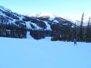 Mittelschwere Piste Eagle Flight