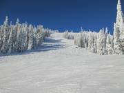 Blick auf die schwere Abfahrt Bluff