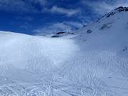 Skiroute 1 Golden Powder