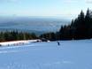 Pistenangebot Vancouver – Pistenangebot Grouse Mountain