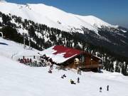 Berghütten Tipp The Goat