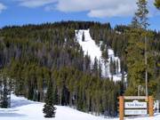 Blick auf die Pisten Allover und Allover Glades