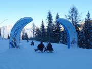 Tipp für die Kleinen  - Rodelbahn am Galsterberg