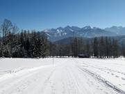 Leichte Piste vom Zauberlift zum Bergkristalllift
