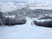 Skigebiete für Könner und Freeriding Wyoming – Könner, Freerider Snow King Mountain – Jackson