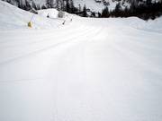 Piste Delle Marmotte