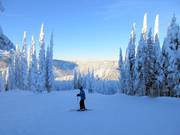 Abfahrt Mid Life Crisis am Mt. Morrrisey