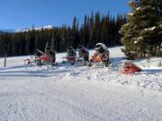 Die Schneekanonen im Skigebiet Marmot Basin