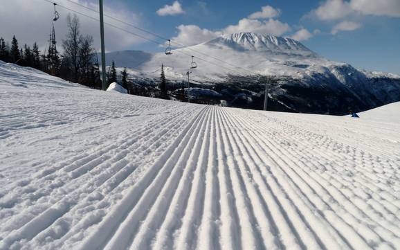 Pistenpräparierung Telemark – Pistenpräparierung Gaustablikk – Rjukan