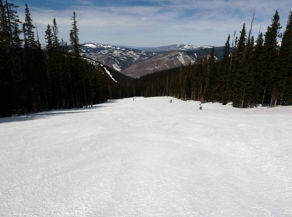Typische Waldschneisenabfahrt in Vail