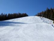 Piste Fondo Piccolo 4 Nr. 15