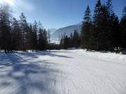 Hanse-Brand-Boden-Abfahrt