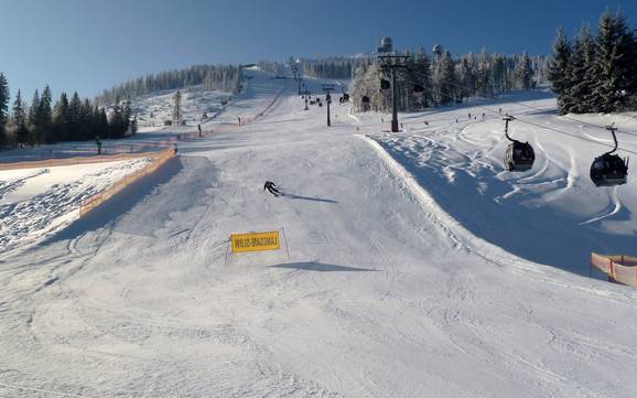 Pistenangebot Zwieseler Winkel – Pistenangebot Arber