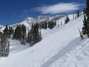 Piste an der Sesselbahn Sugarloaf