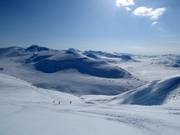 Unberührte Hänge warten beim Heliskiing