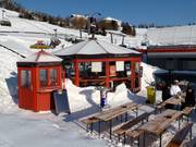 Schirmbar Pink Bulle