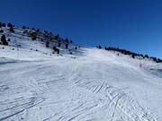 Attraktive Piste am Cogulla