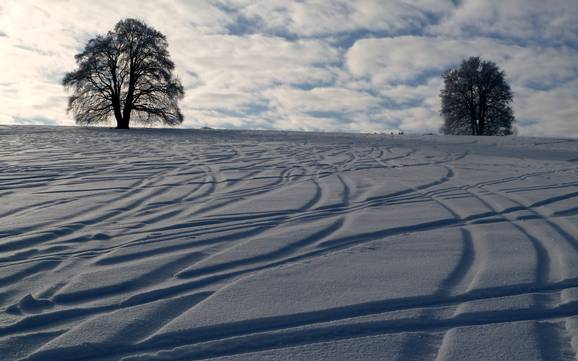 Skigebiete für Könner und Freeriding Tübingen (Bezirk) – Könner, Freerider Im Salzwinkel – Zainingen (Römerstein)
