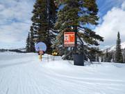 Grand Targhee Terrain Parks