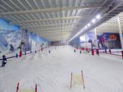 Skihalle The Snow Centre
