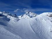 Diavolezza: Blick auf den Piz Bernina (4049 m)