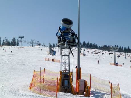 Schneesicherheit Kleinpolen (Województwo małopolskie) – Schneesicherheit Białka Tatrzańska – Kotelnica/Kaniówka/Bania