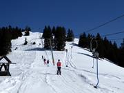 Hüenerspil - Tellerlift