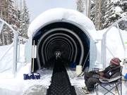 Caterpillar - Förderband/Zauberteppich mit Überdachung