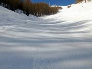 Schwarze Piste Olympique
