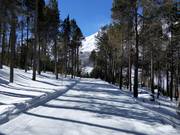 Talabfahrt Heimfahrtspiste