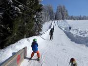 Koglmooslift - Tellerlift