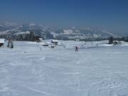 Der Eichhörnchen-Schuss