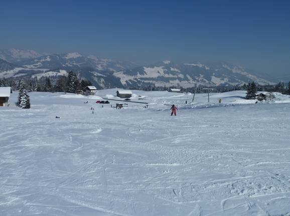 Der Eichhörnchen-Schuss