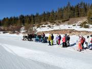 Pferdekutsche am Ende der Piste Nr. 1 Armentarola
