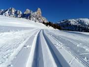 Perfekt präparierte Höhenloipe am Rollepass