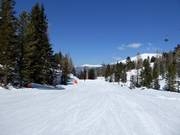 Leichte Piste Märchenwald-Abfahrt