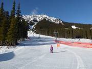Leichte Piste Cascade