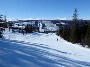 Leichte Piste Nybegynnerbakken