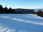Predigtstuhl I (b) - Schlepplift mit T-Bügel/Anker