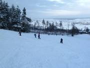 Für Anfänger gut geeignet