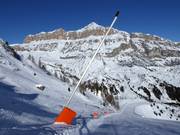 Schneilanze in Arabba