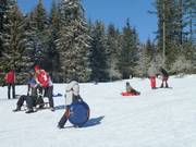 Spaß für die ganze Familie am Rodelhang