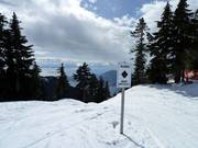 Glades - ausgeholzte Waldabfahrten für Könner