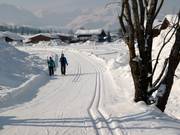 Loipen im Pillerseetal