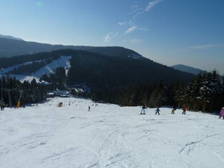Rastatt: Größe der Skigebiete – Größe Hundseck – Bühlertallifte