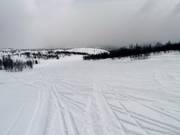 Abfahrt Frognerbakken