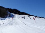 Übungsgelände an der Talstation der Klösterlebahn