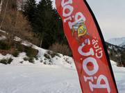 Das ESF Maskottchen Piou-Piou