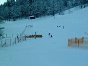 Seillift Schedlerhof im Ort Brand