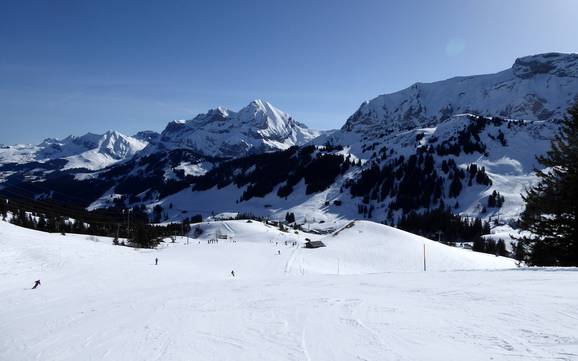 Skifahren bei Lenk im Simmental